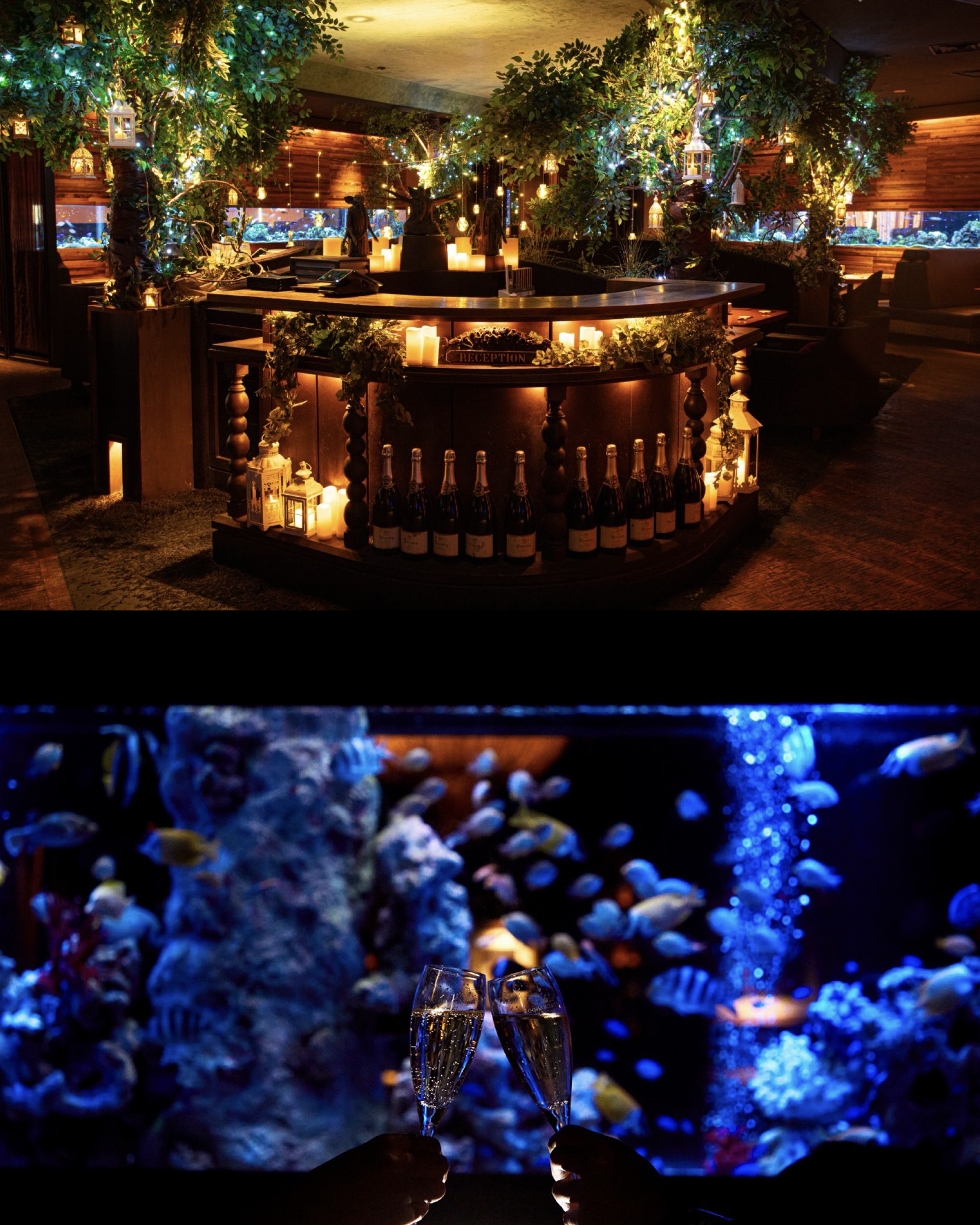 提携店舗特典サービス