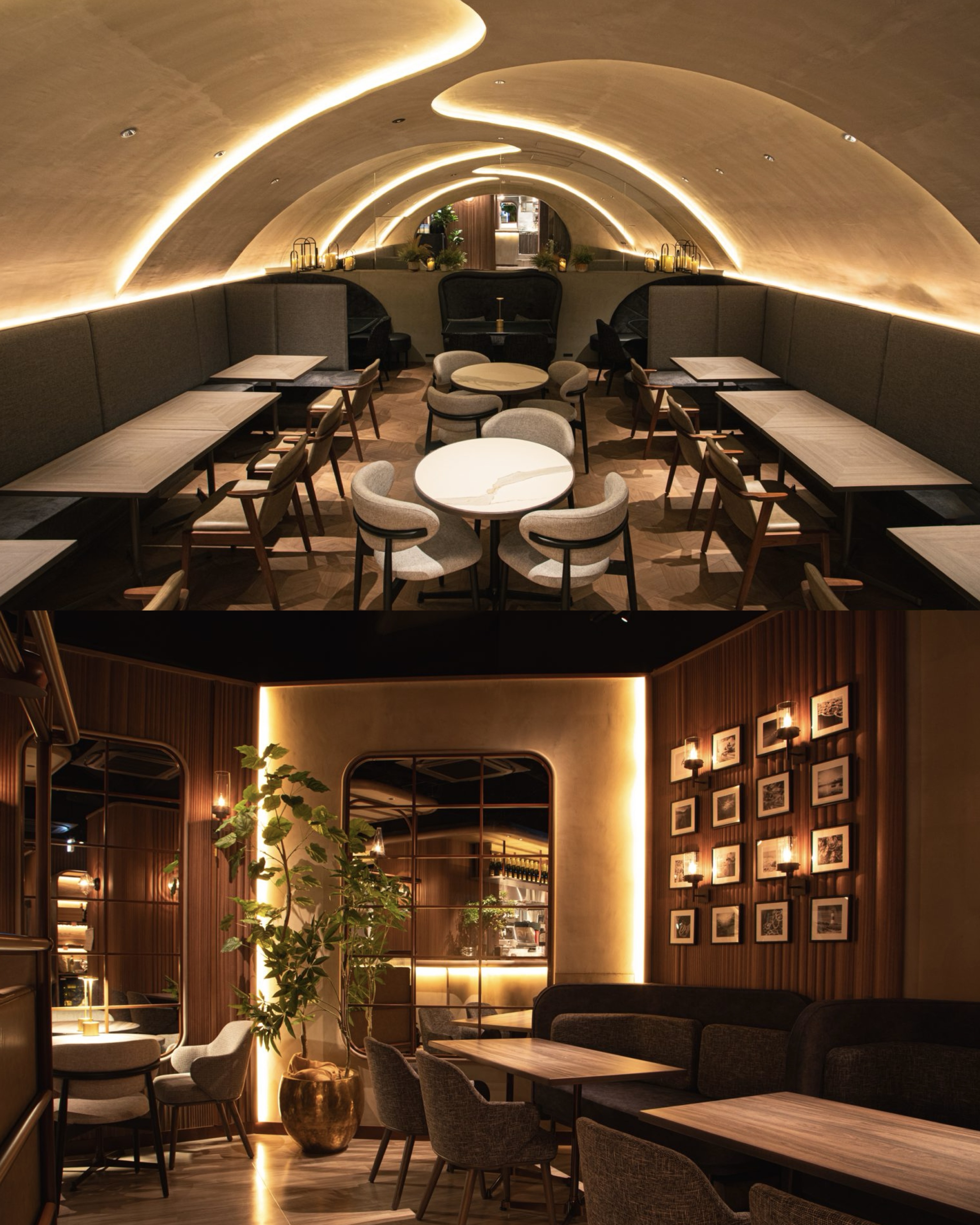 提携店舗特典サービス